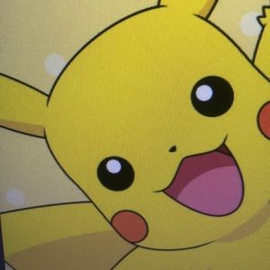 Meet your Posher, Tom